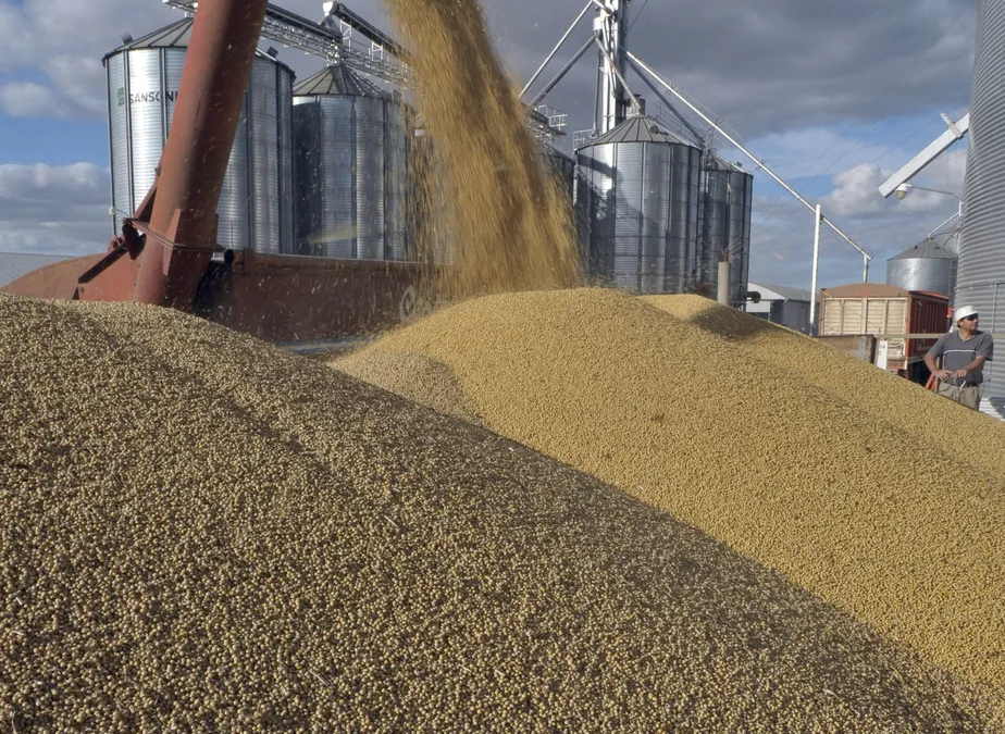 Exportações argentinas de soja com vantagem cambial caíram 57%