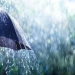 Excesso de chuva pode afetar produtividade da cana-de-açúcar