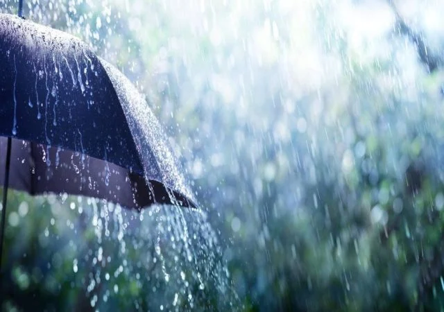 Excesso de chuva pode afetar produtividade da cana-de-açúcar