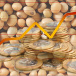 Alta do dólar deixa soja estável no Brasil; semana teve 200 mil ton negociadas