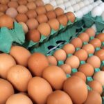 Brasil não vai enfrentar escassez de ovos, afirma ABPA