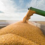 Exportação de milho do Brasil bate recorde para meses de janeiro