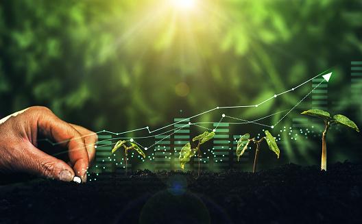 5 maneiras de investir no agronegócio